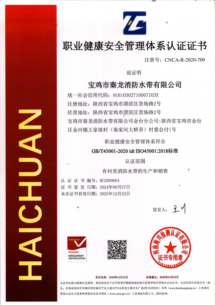 职业健康体系认证证书